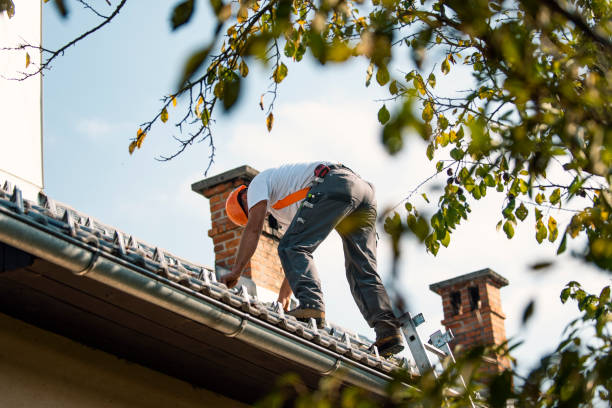 Best Commercial Roofing Services  in Fruitvale, CO